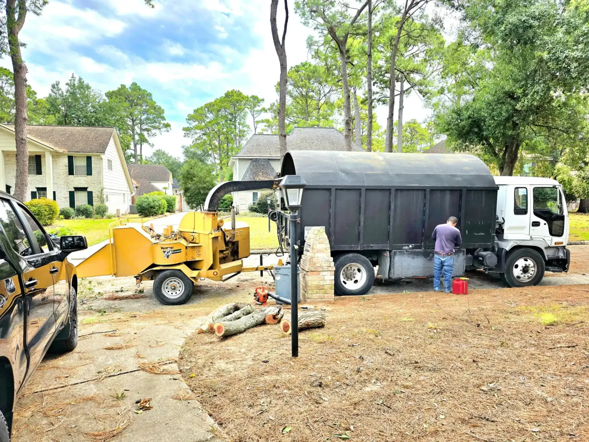 Tree Removal Houston TX - Fully Insured | Texas Tree Care