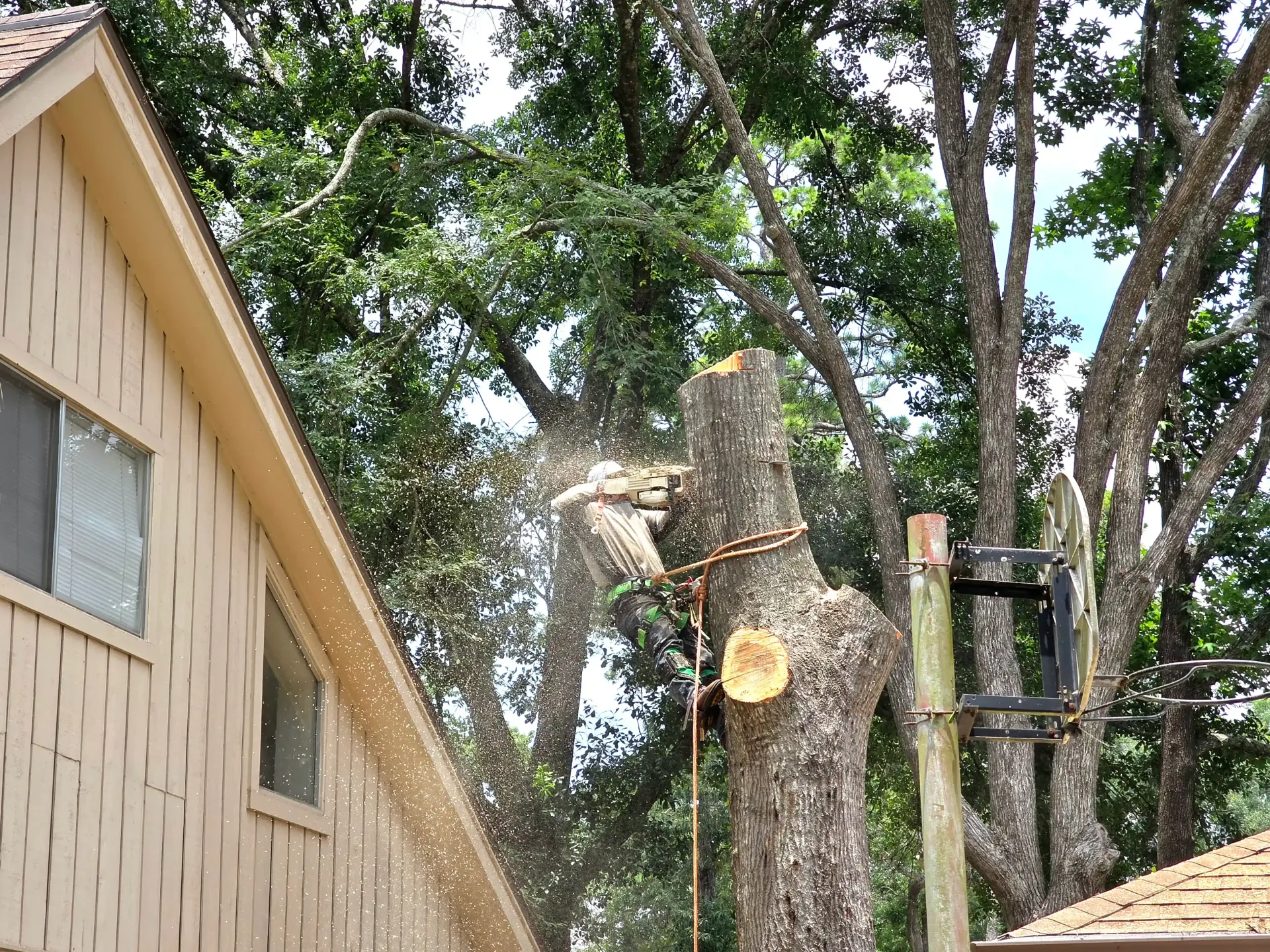 Tree Removal Spring TX | Large Tree Removal Near A House