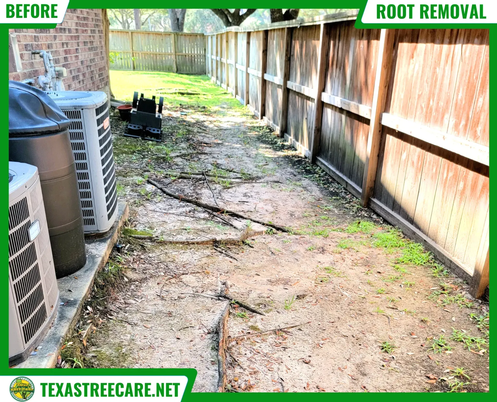 Before Tree Root Removal Spring Tree Root Removal - Before Results | Texas Tree Care