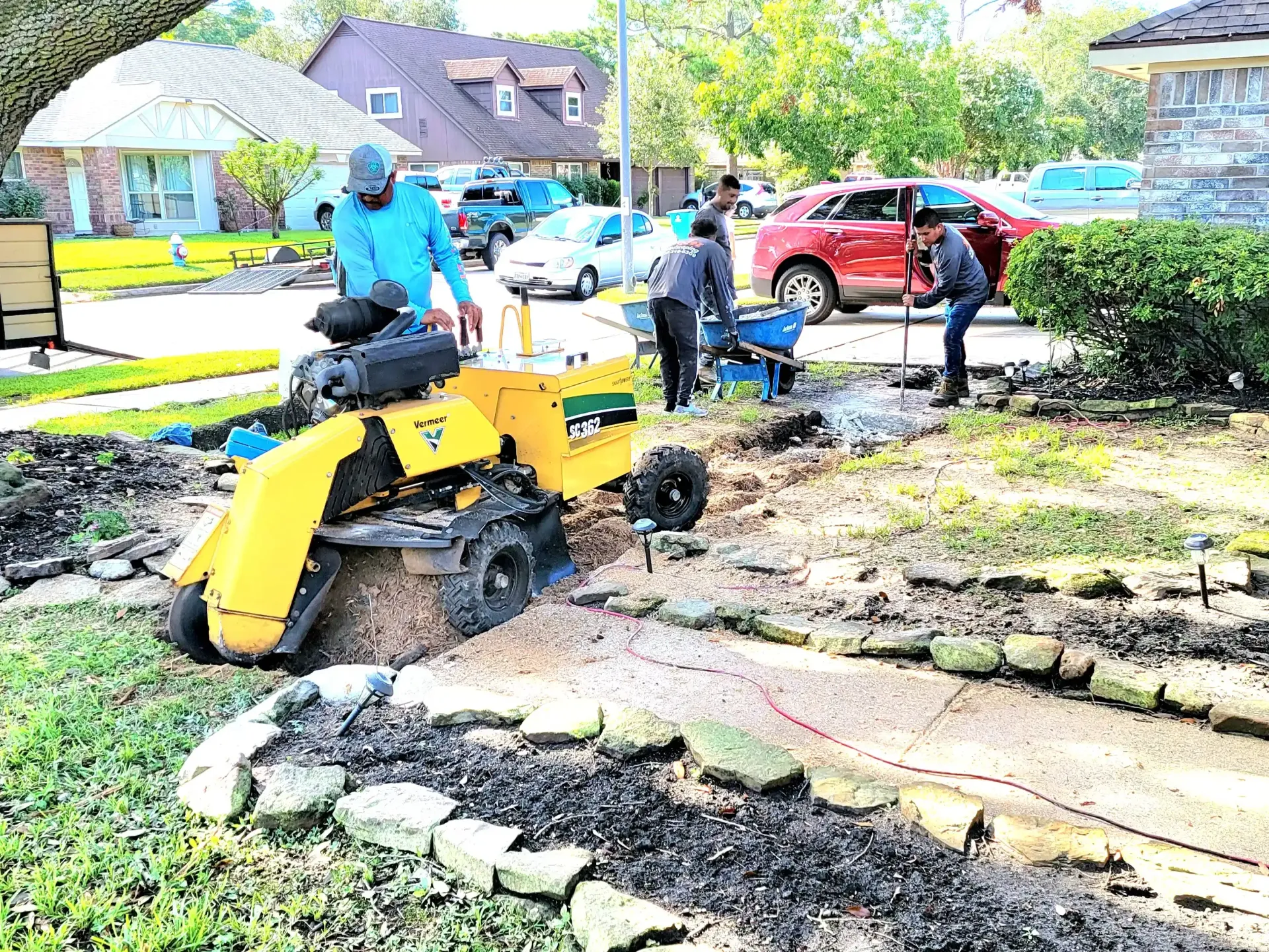 Tree Root Removal Under Concrete in Spring TX