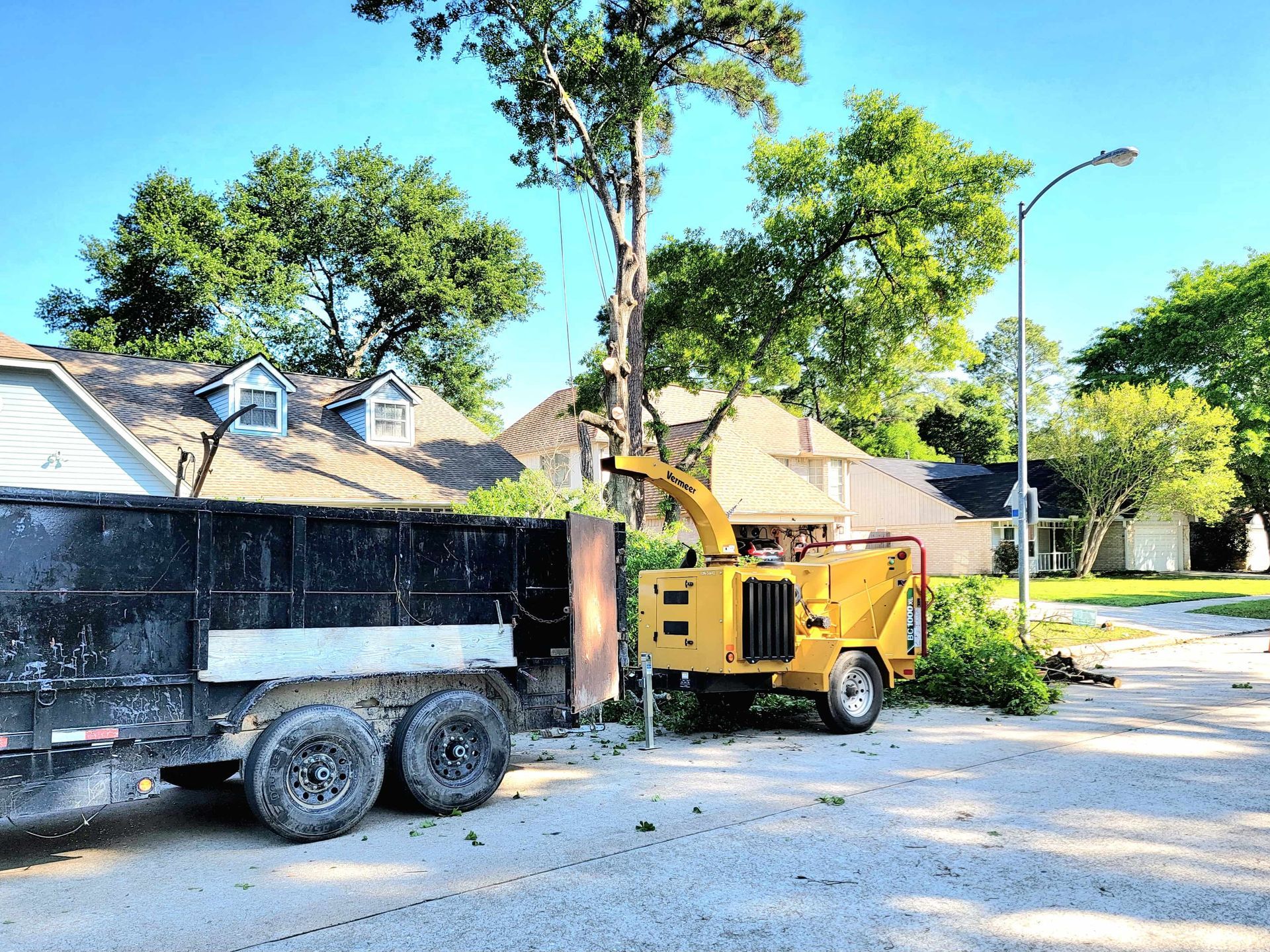 Tree Removal Spring TX - Oak Tree Removal | Texas Tree Care