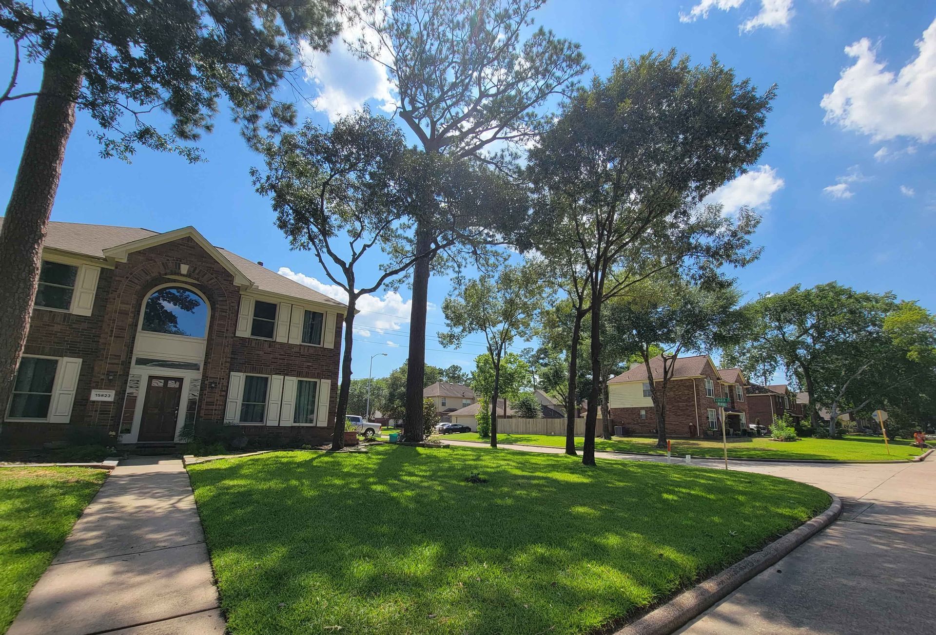 Tree Trimming Cost by Texas Tree Care Blog Tree Trimming Cost | Spring TX| Texas Tree Care