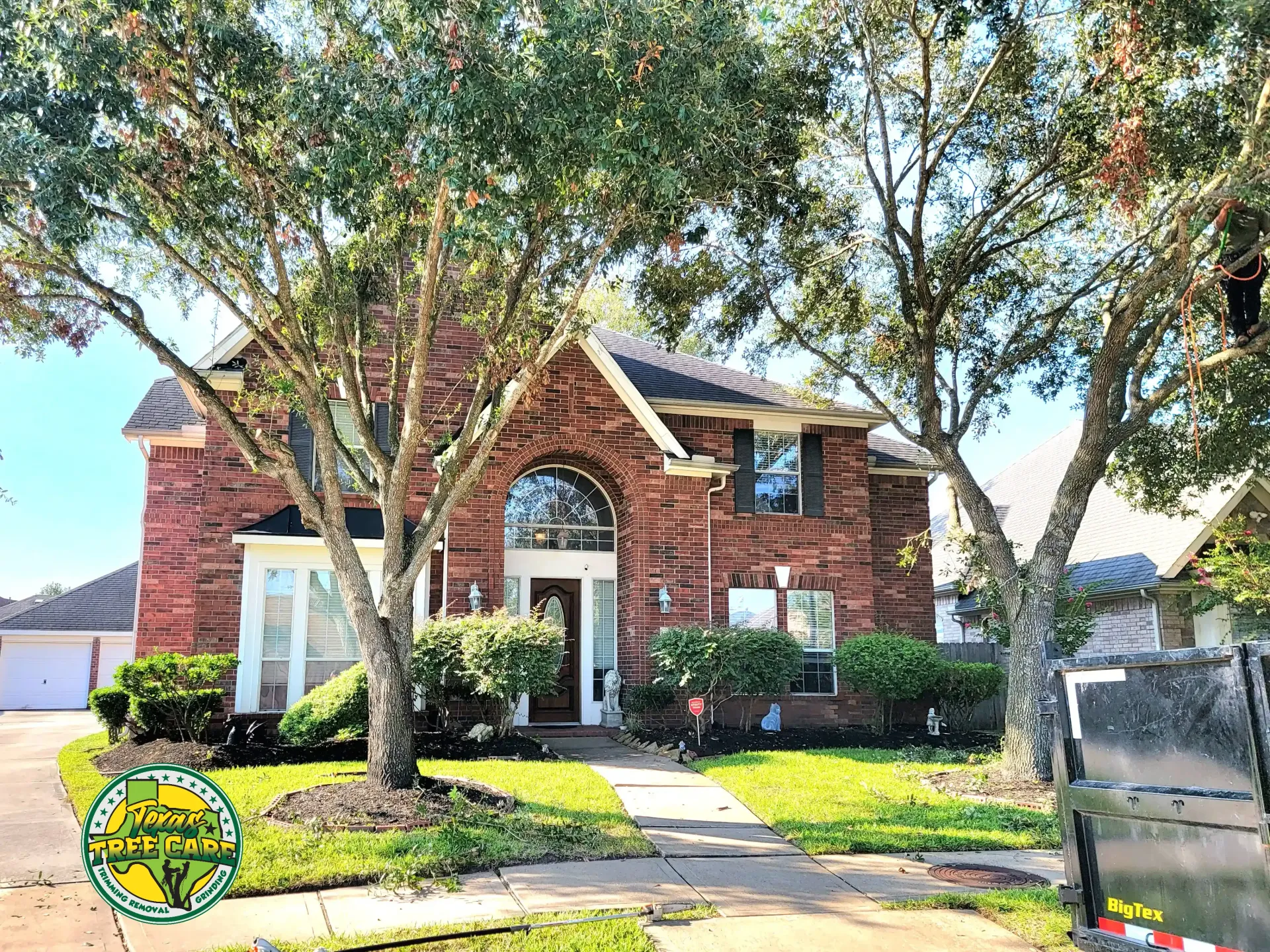 Before Trimming Tree Trimming Cypress TX - Before | Cypress Tree Service