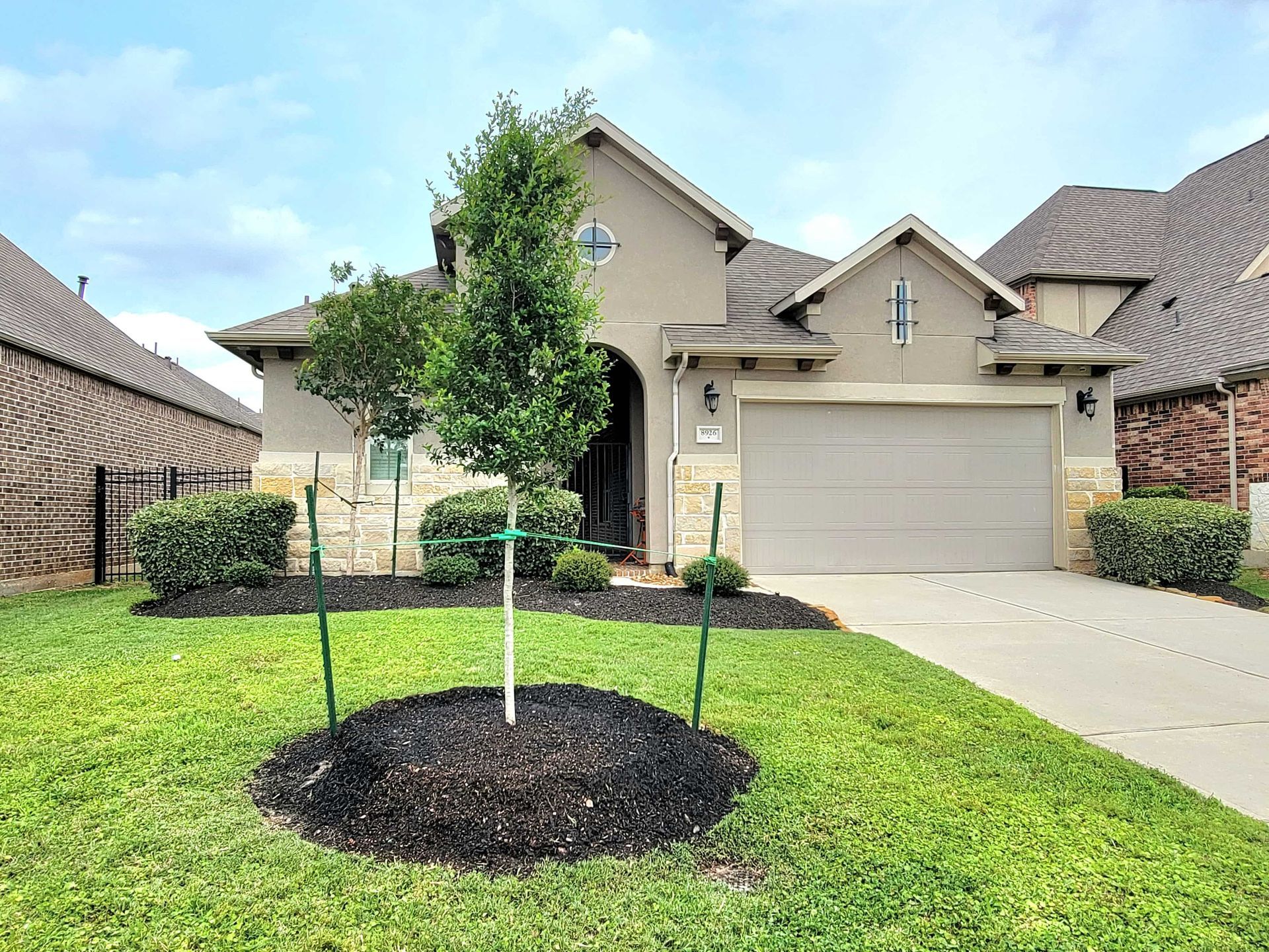 Tree Planting a Live Oak Houston Tree Planting | Tree Service Houston