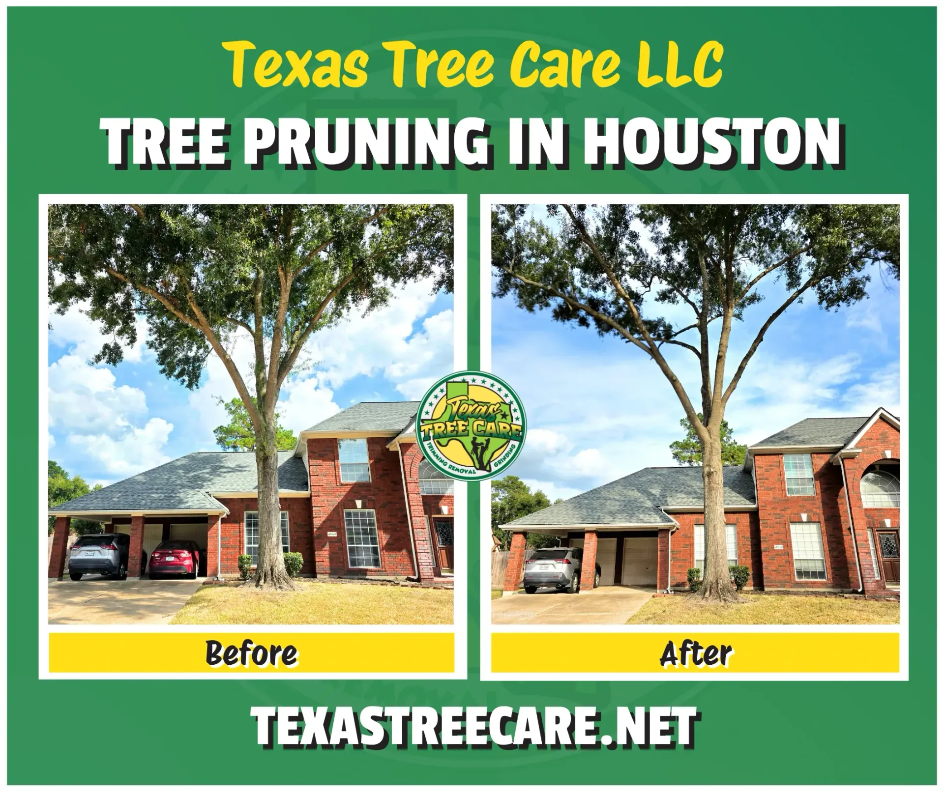 Tree Pruning in Houston - Champion Forest | Texas Tree Care