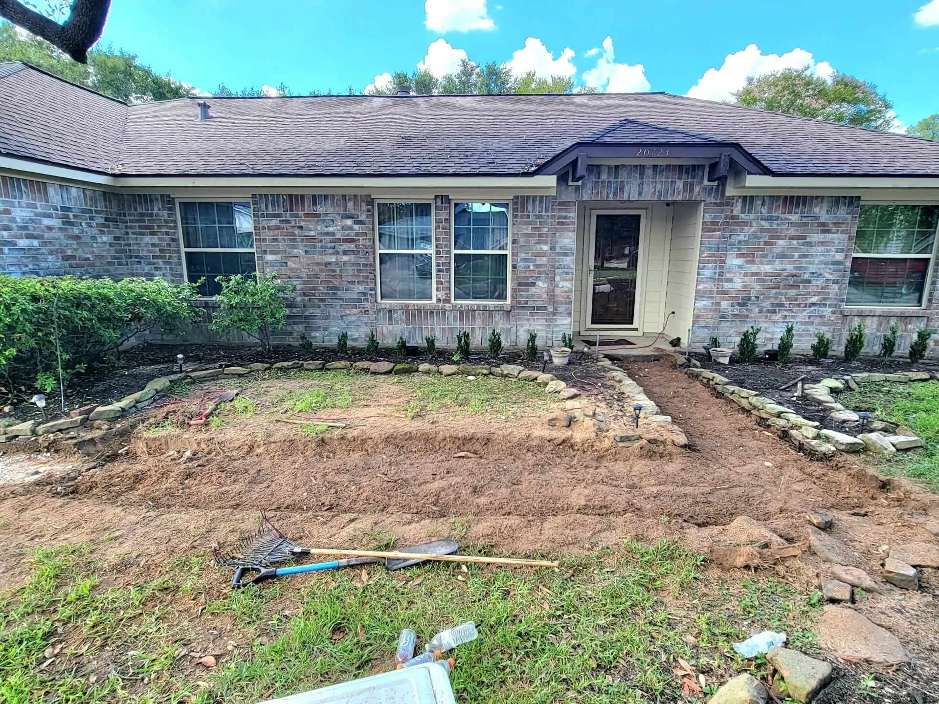 Spring Tree Root Removal | Texas Tree Care