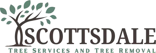 Scottsdale Tree Services and Tree Removal with a tree graphic.