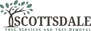 Scottsdale Tree Services and Tree Removal with a tree graphic.