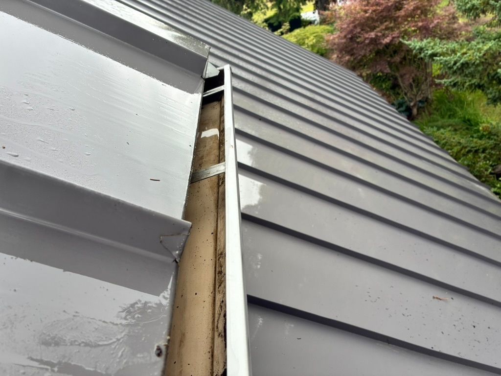 Clogged gutters with autumn leaves