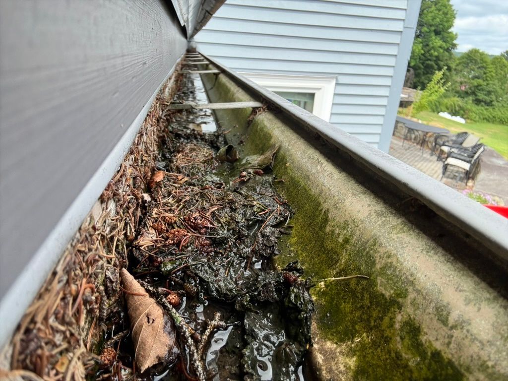 Clean gutters on a Maine home during the fall season.