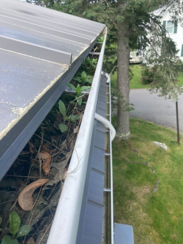 Rain gutter beside a metal roof, filled with leaves and debris above a grassy yard.