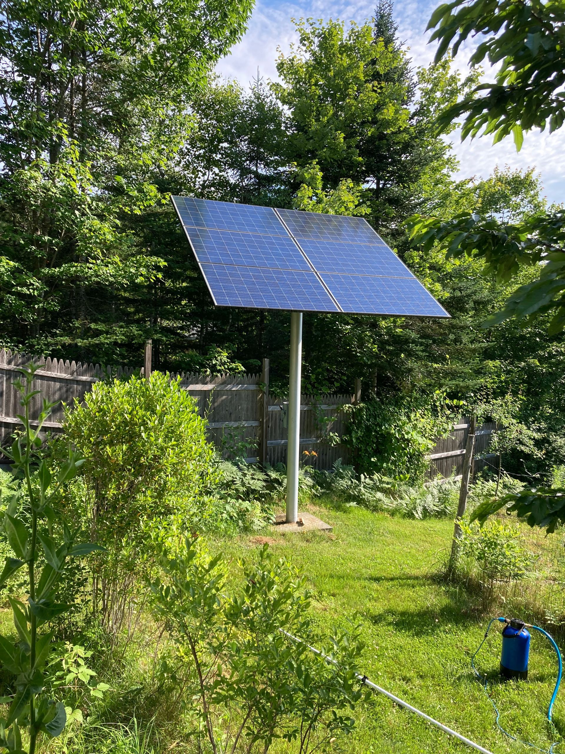 Blue solar panel on a pole in a grassy backyard surrounded by trees and shrubs