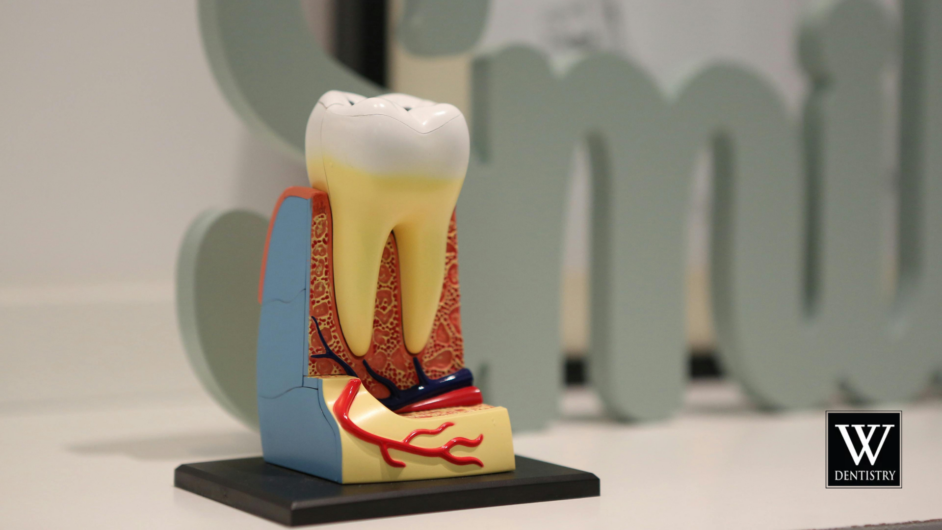 A model of a tooth with the word smile in the background