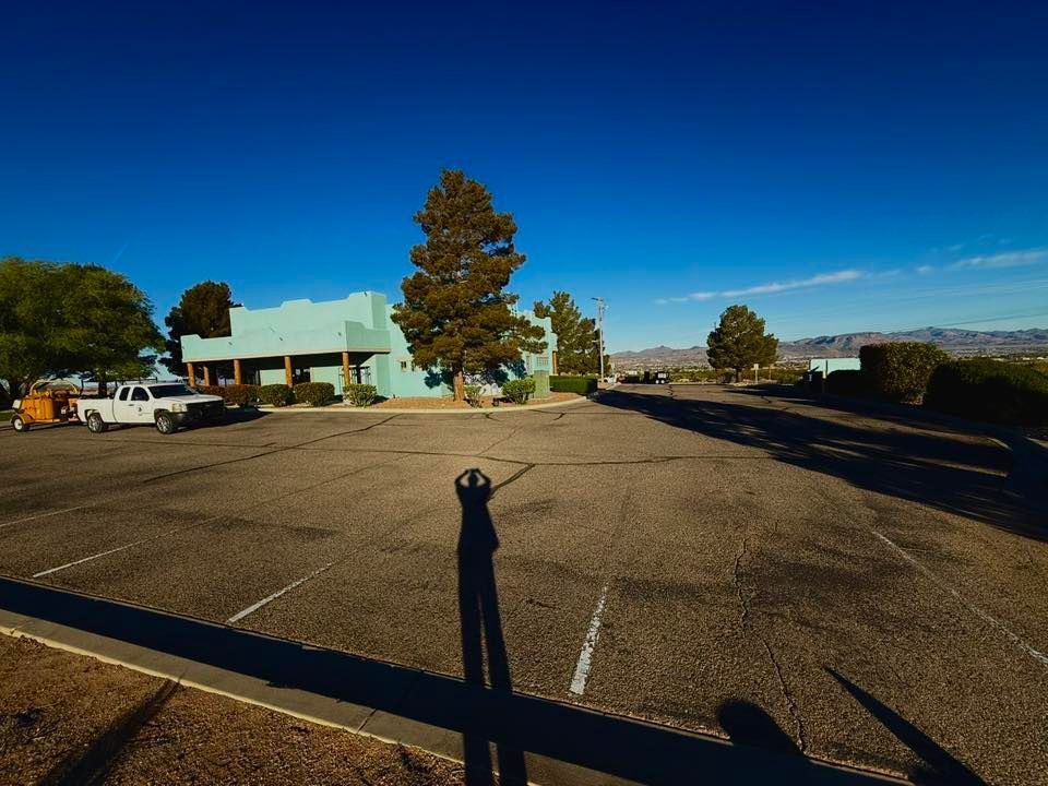 Empty parking lot beside a low building and trees under a clear blue sky