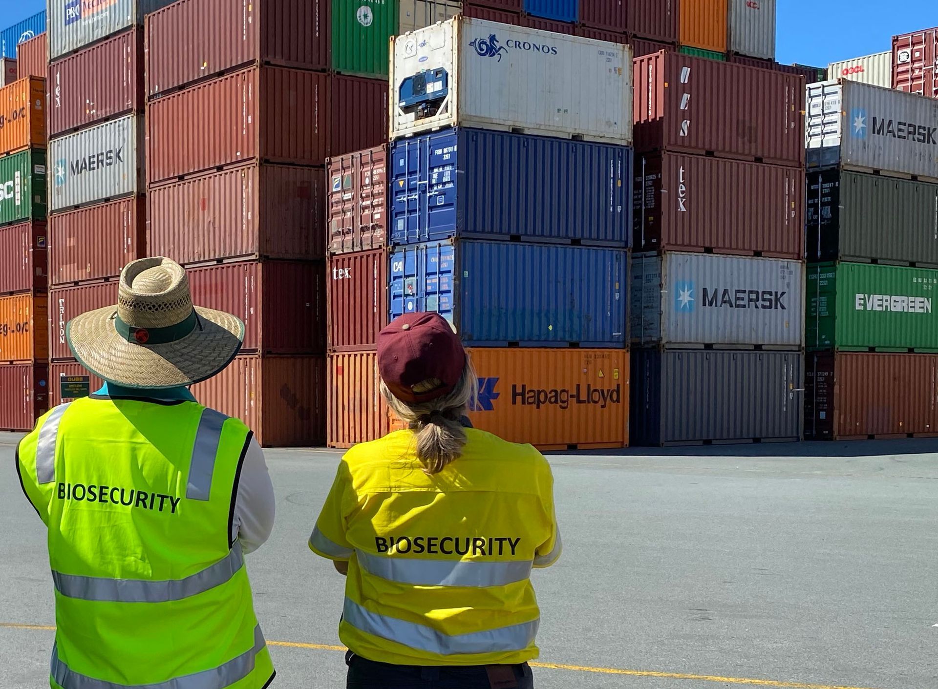 Biosecurity team with shipment containers in background