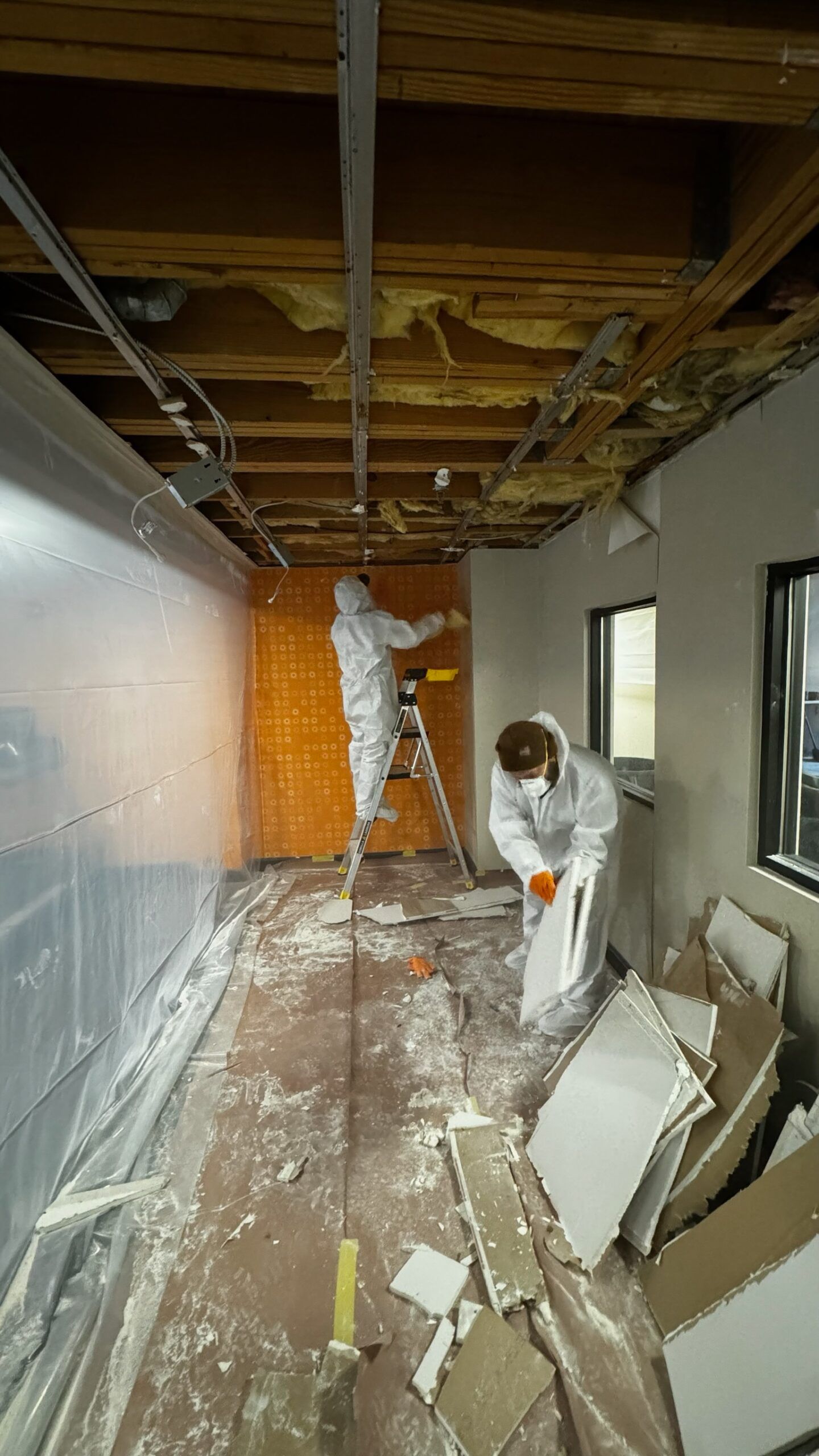 Photo inspiration: Picture Idea: Mold Damage Photos