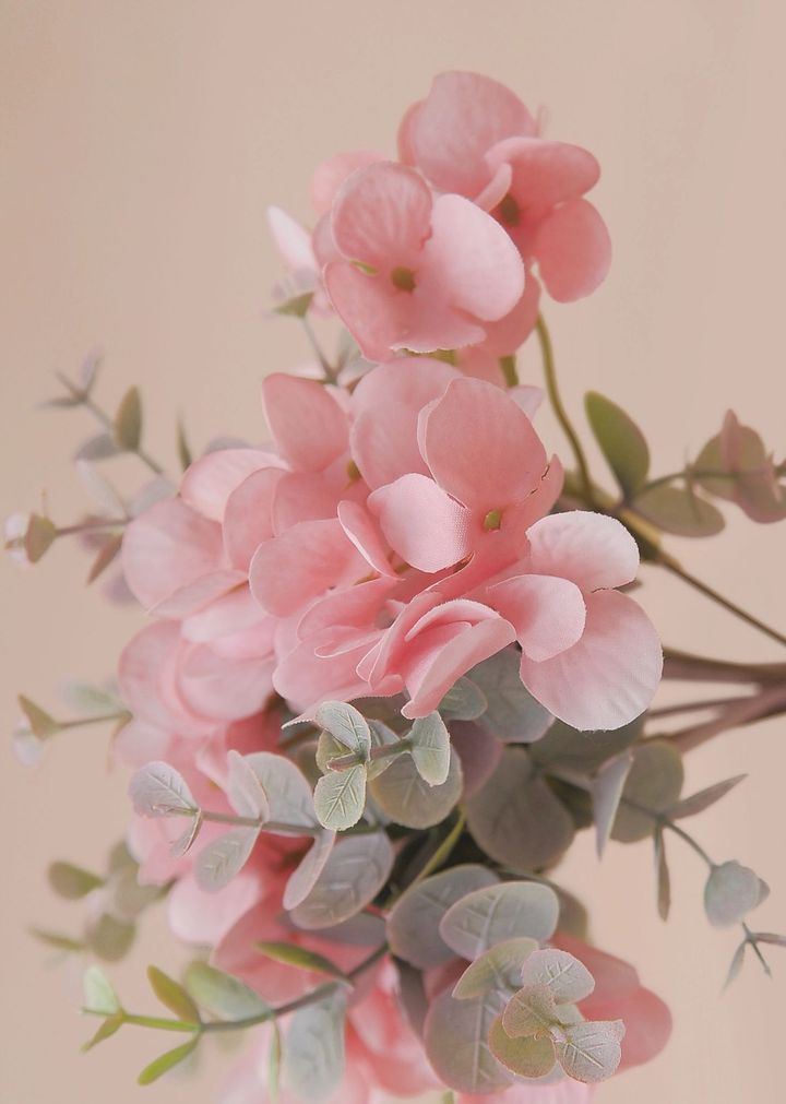 Un bouquet di delicati fiori di ortensia rosa intervallati da rametti di foglie di eucalipto verde tenue su uno sfondo beige.