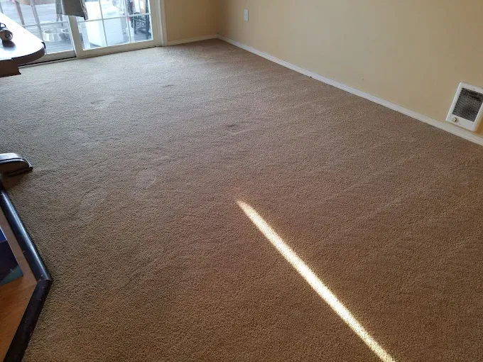 Beige carpeted room, natural light, beige walls, sliding glass door, vent.
