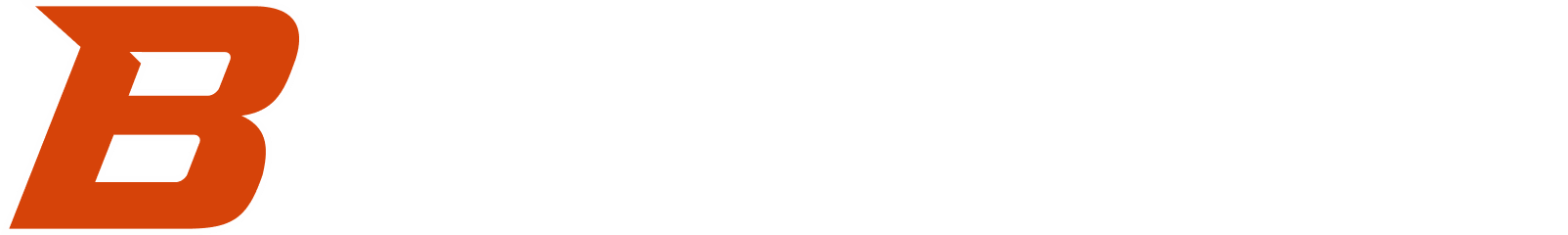 Boise State University logo