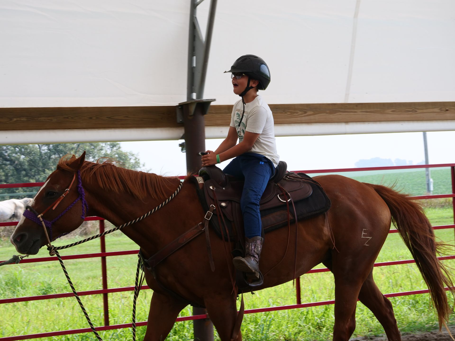 Inspiration Hills Horse Camp Saddle Up