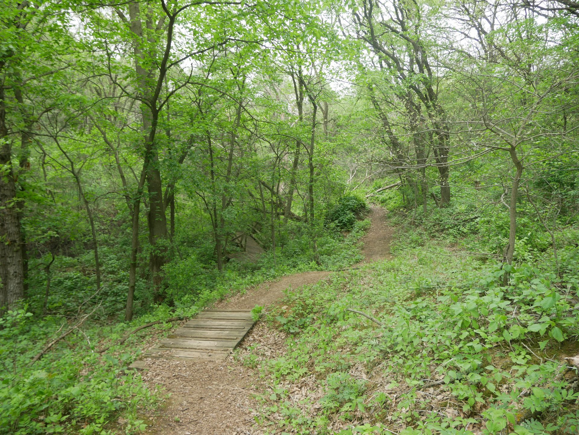 Inspiration Hills Walk the Trails