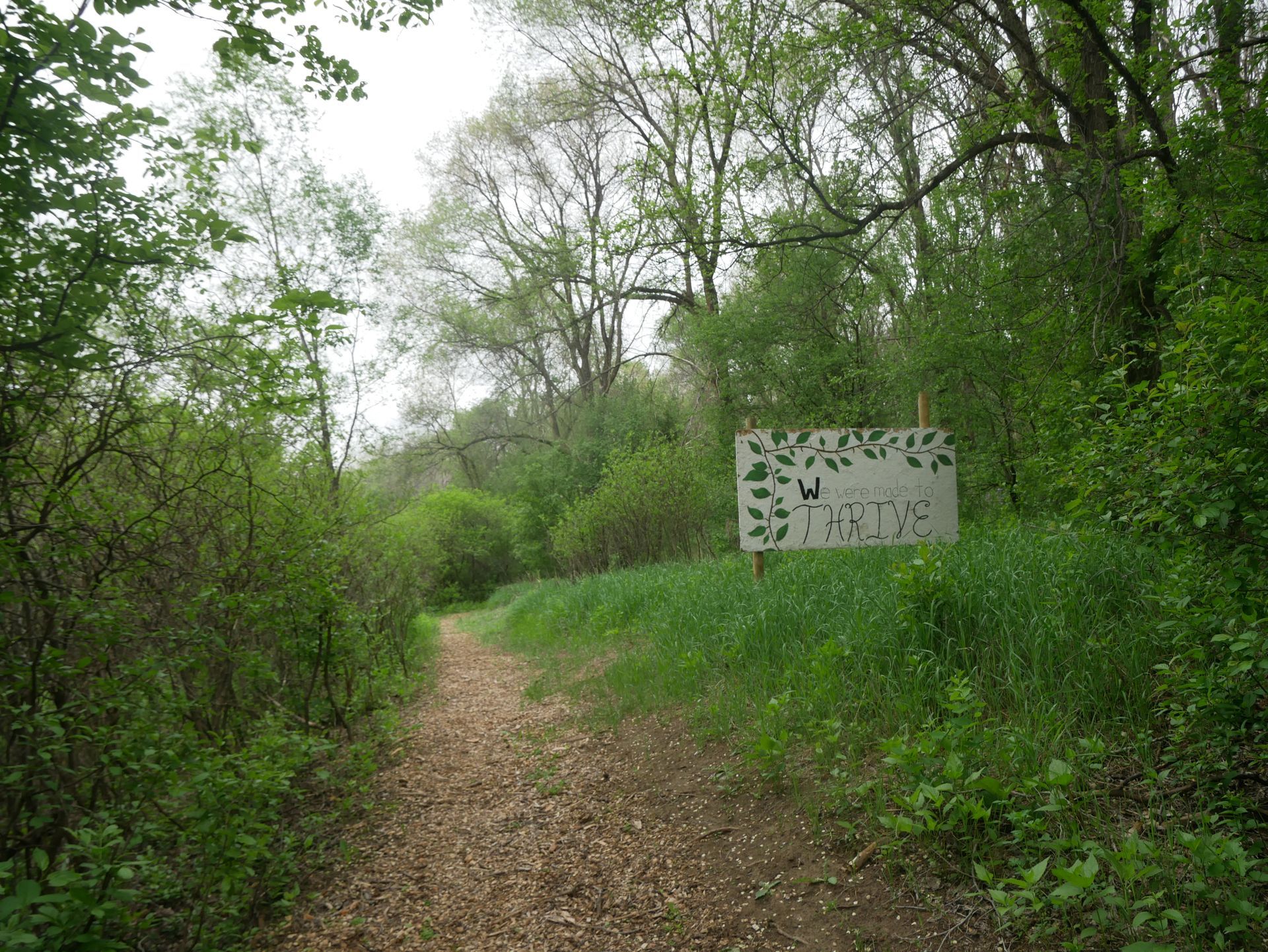 Inspiration Hills Trails