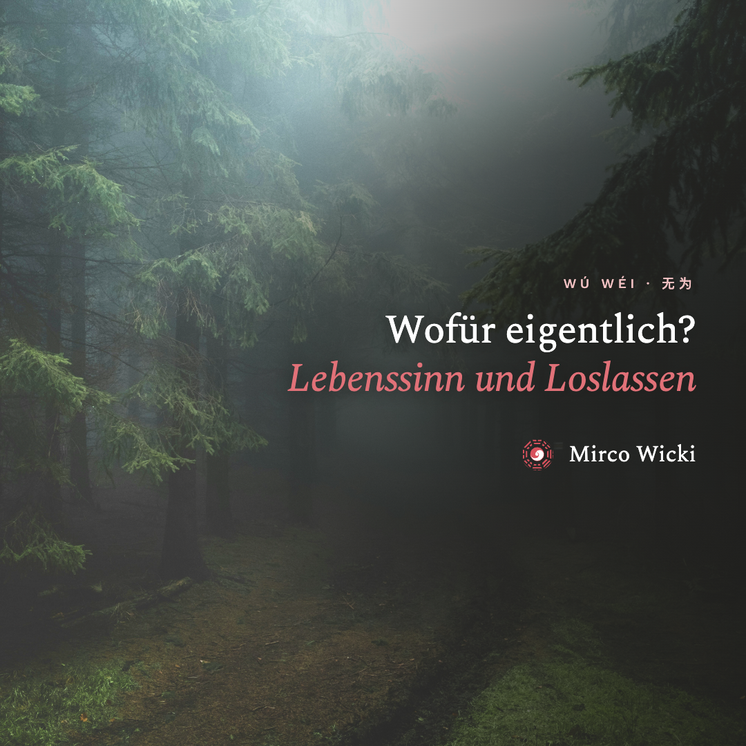 Waldweg im Nebel: Sinnbild für den Dao und die Frage nach dem Lebenssinn in der TCM