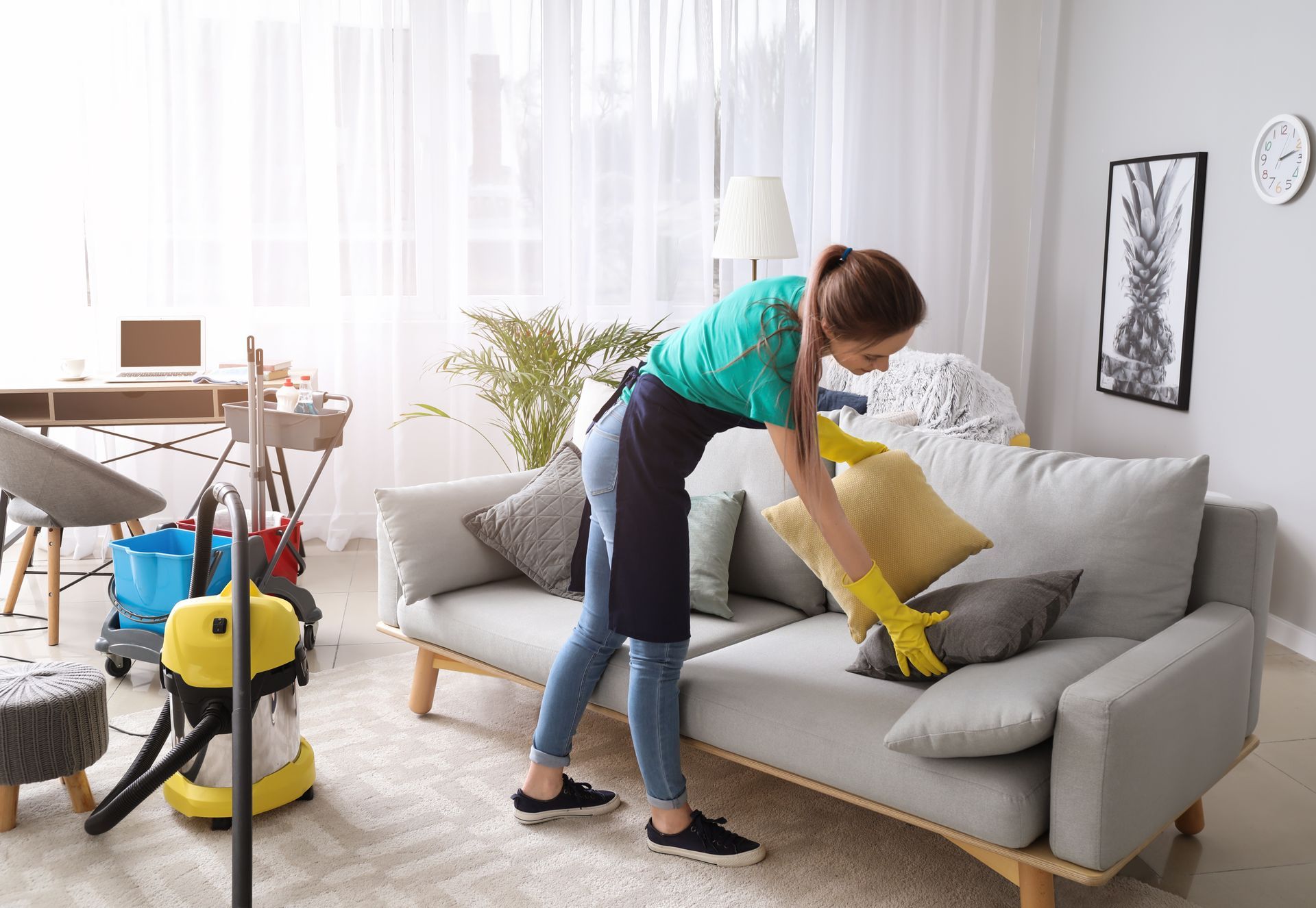Professional Cleaning Services Pinellas County