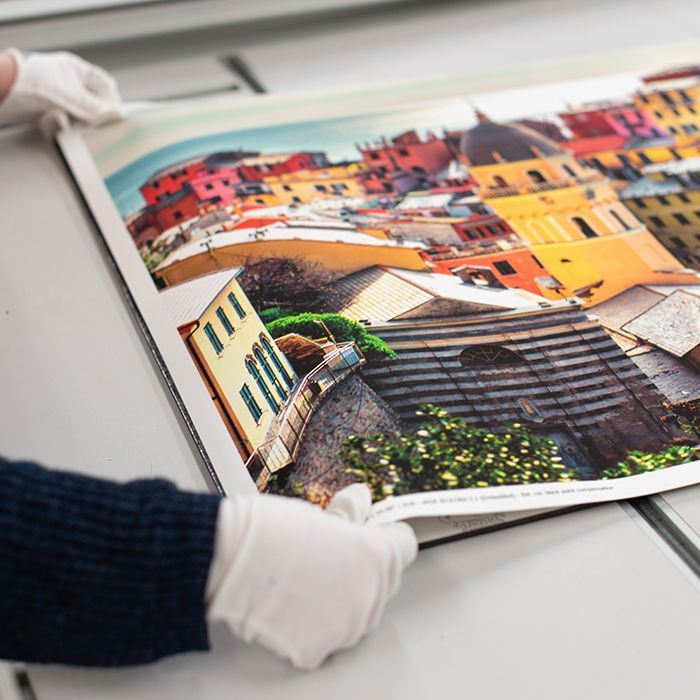Fine art photo prints displayed on a gallery wall - museum-quality printing at Fort Worth Camera 
