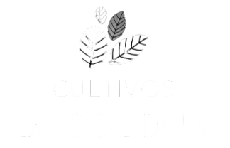 Logotipo: Hojas sobre el texto “Cultivar el bienestar”.