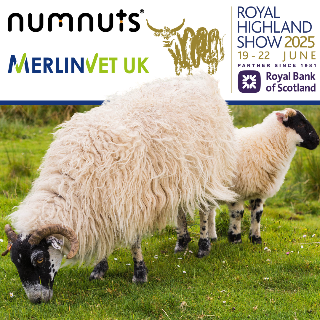 MerlinVet & Numnuts at the Royal Highland Show 2025