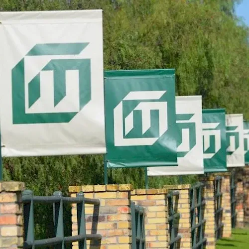 A row of green and white signs with chinese writing on them