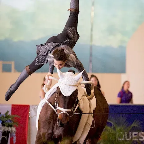 A woman is doing a handstand on a horse