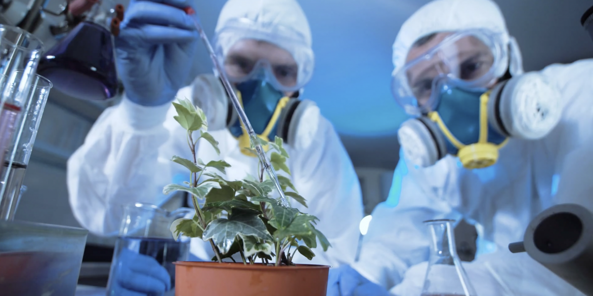 Biotech Awareness -- Allergy and Toxicity