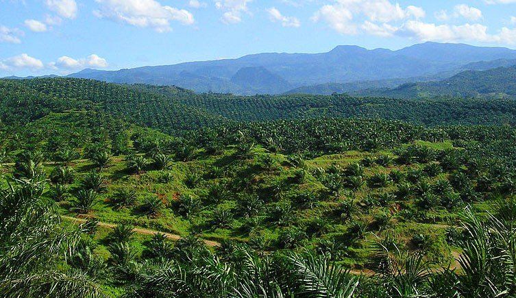 Biotech Awareness -- Agriculture and Environment