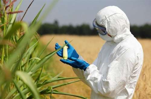 Biotech Awareness -- Agriculture and Environment