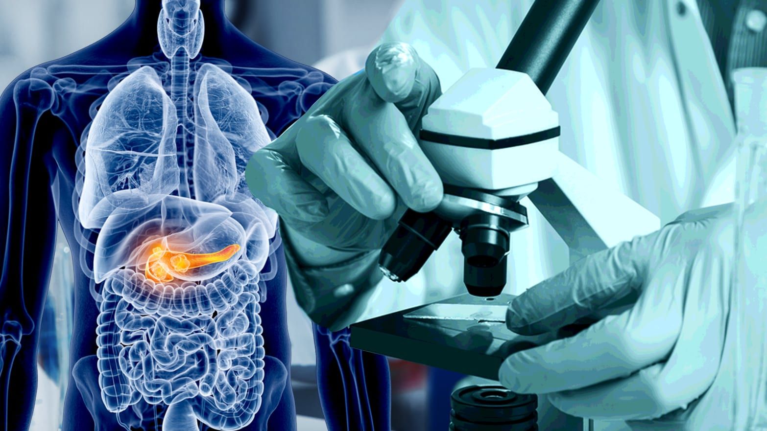 Biotech Awareness -- Other Risks