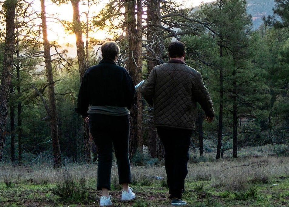 Two people walking through a pine forest at sunset