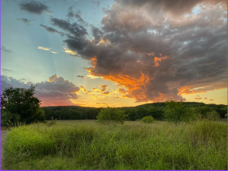 Sunset over a grassy meadow with dark clouds and orange light on the horizon