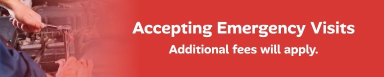 Accepting emergency visits with additional fees, on red background with hand holding phone