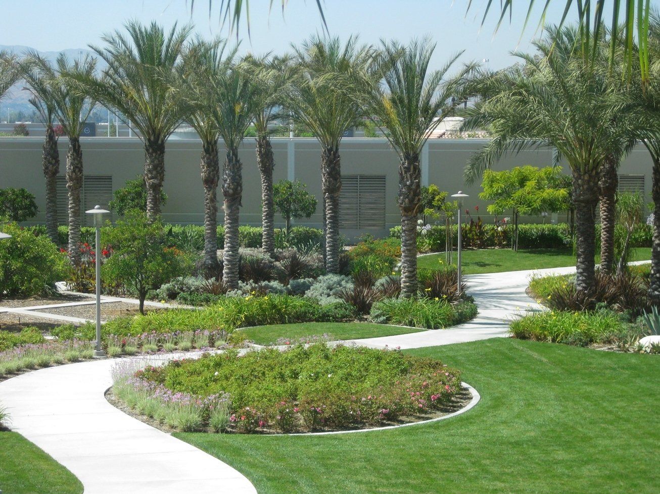 Beautiful Landscape And Trees — San Bernardino, CA — Richard Pope & Associates