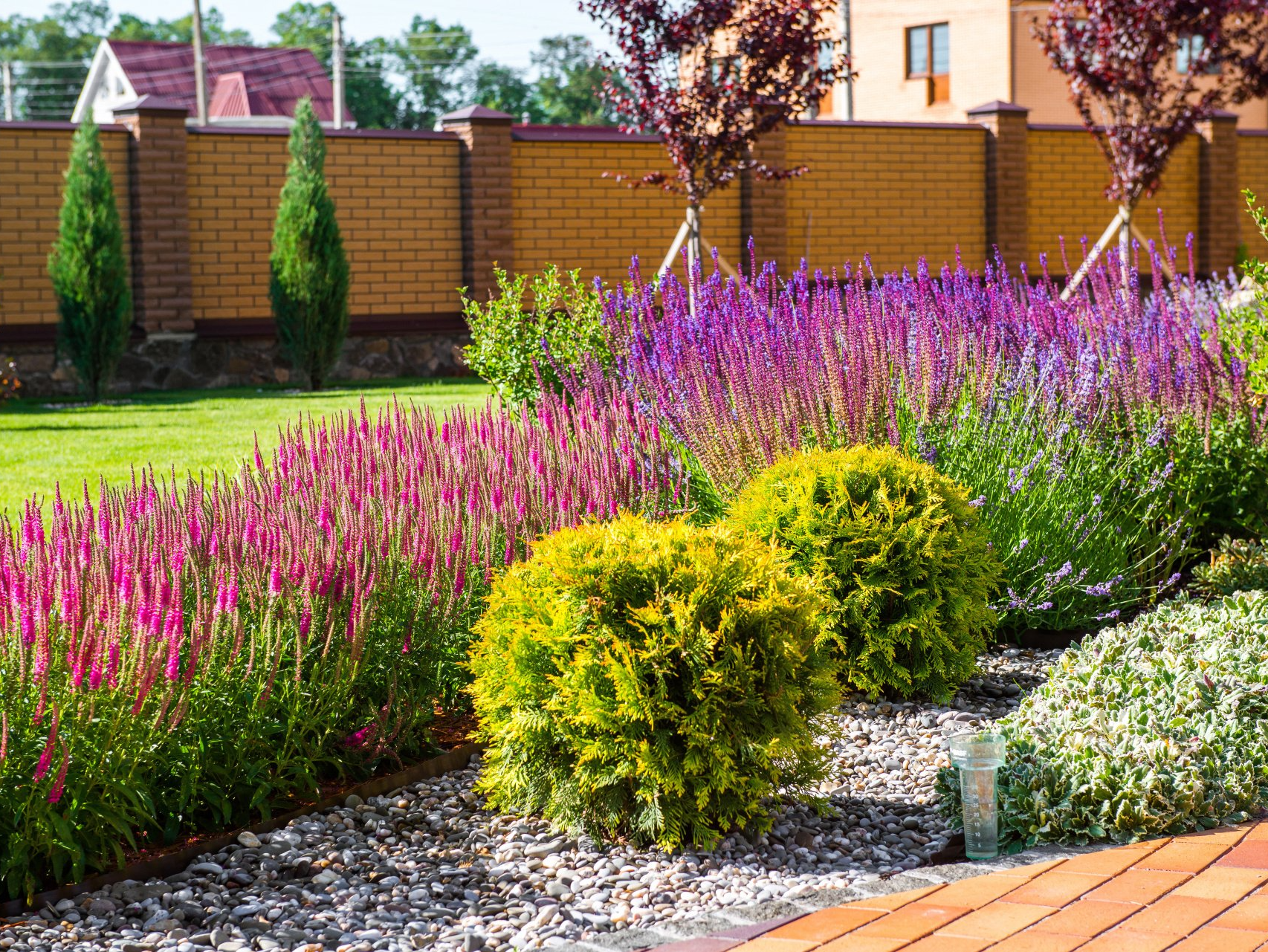 Bushes for Fred's Lawn Care, NJ.