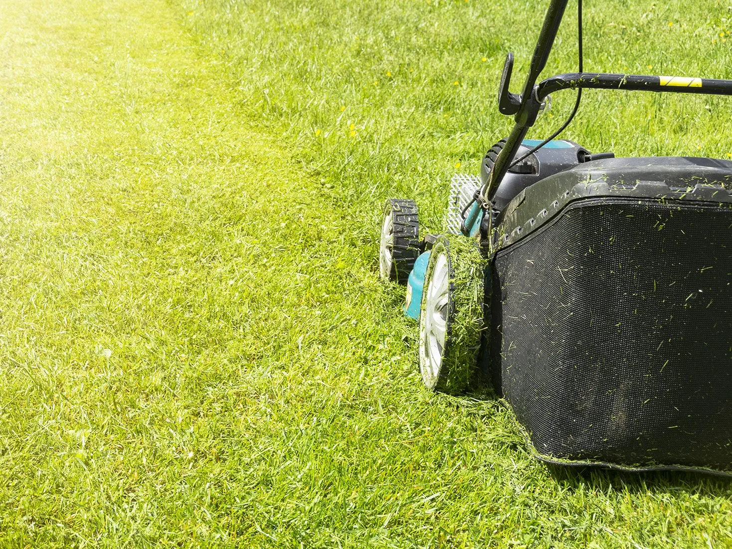 Lawn mower over grass for Fred's Lawn Care, NJ.