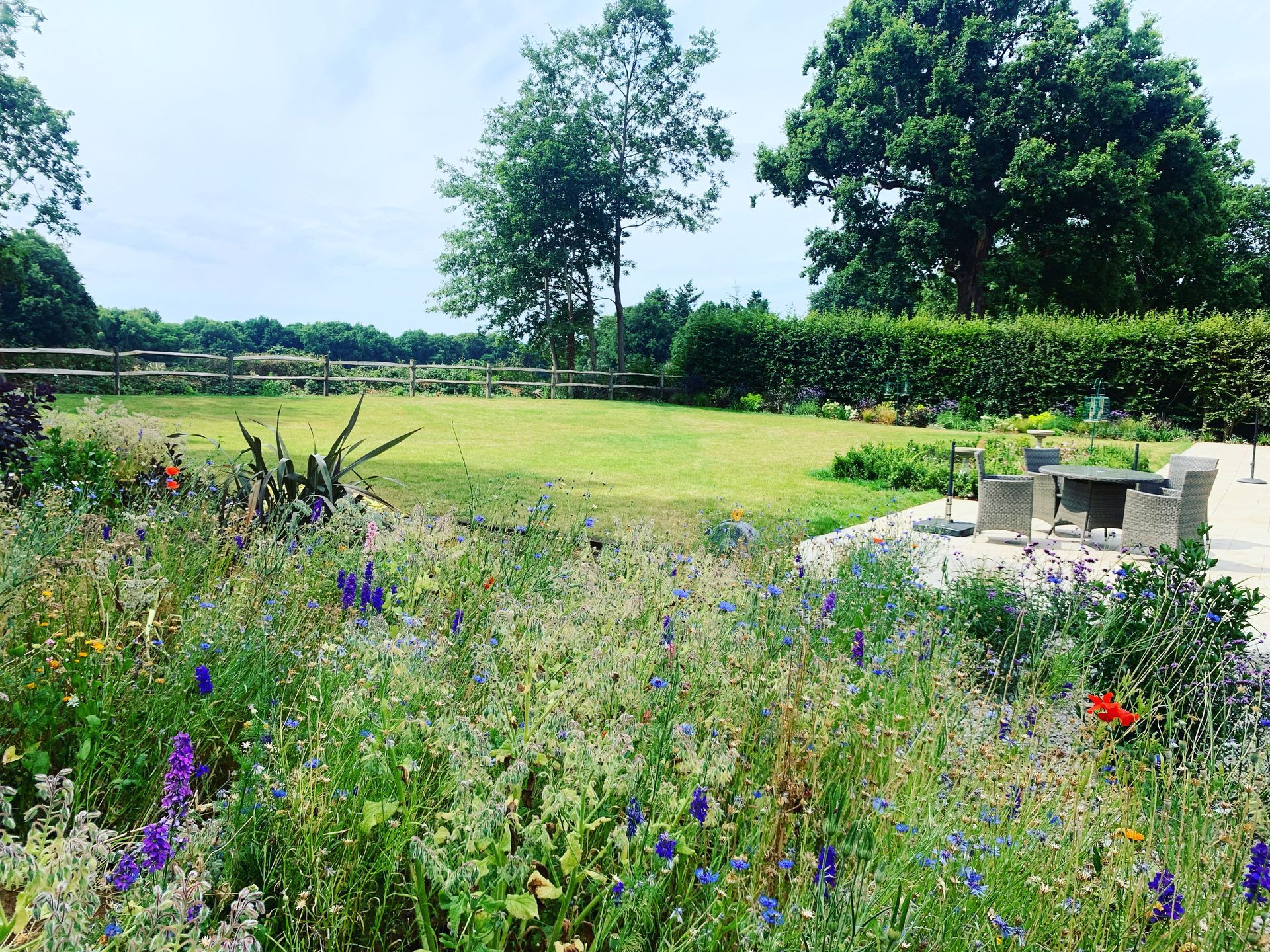 Wildflower meadow garden design West Sussex