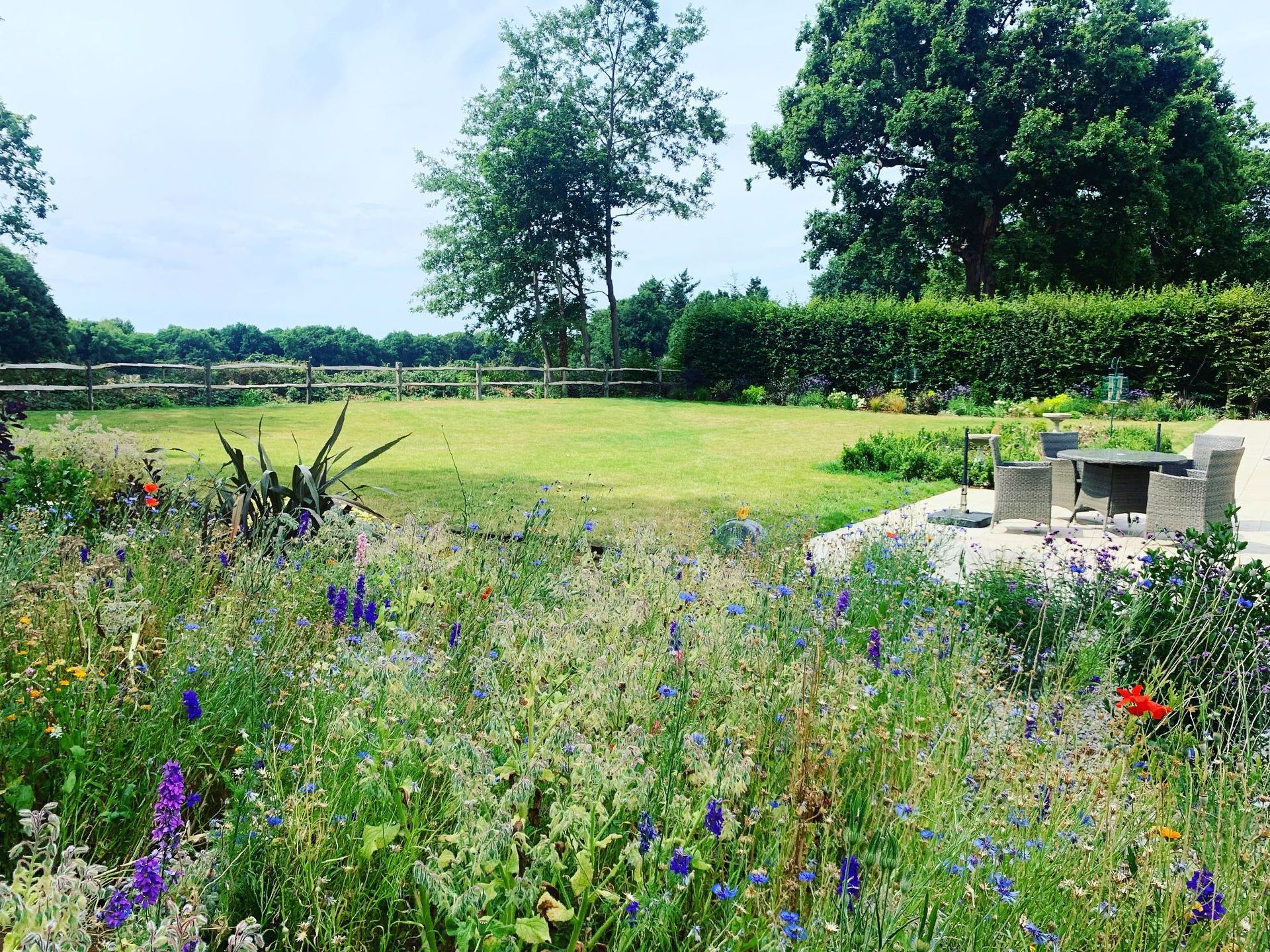 Rural West Sussex Garden Designer