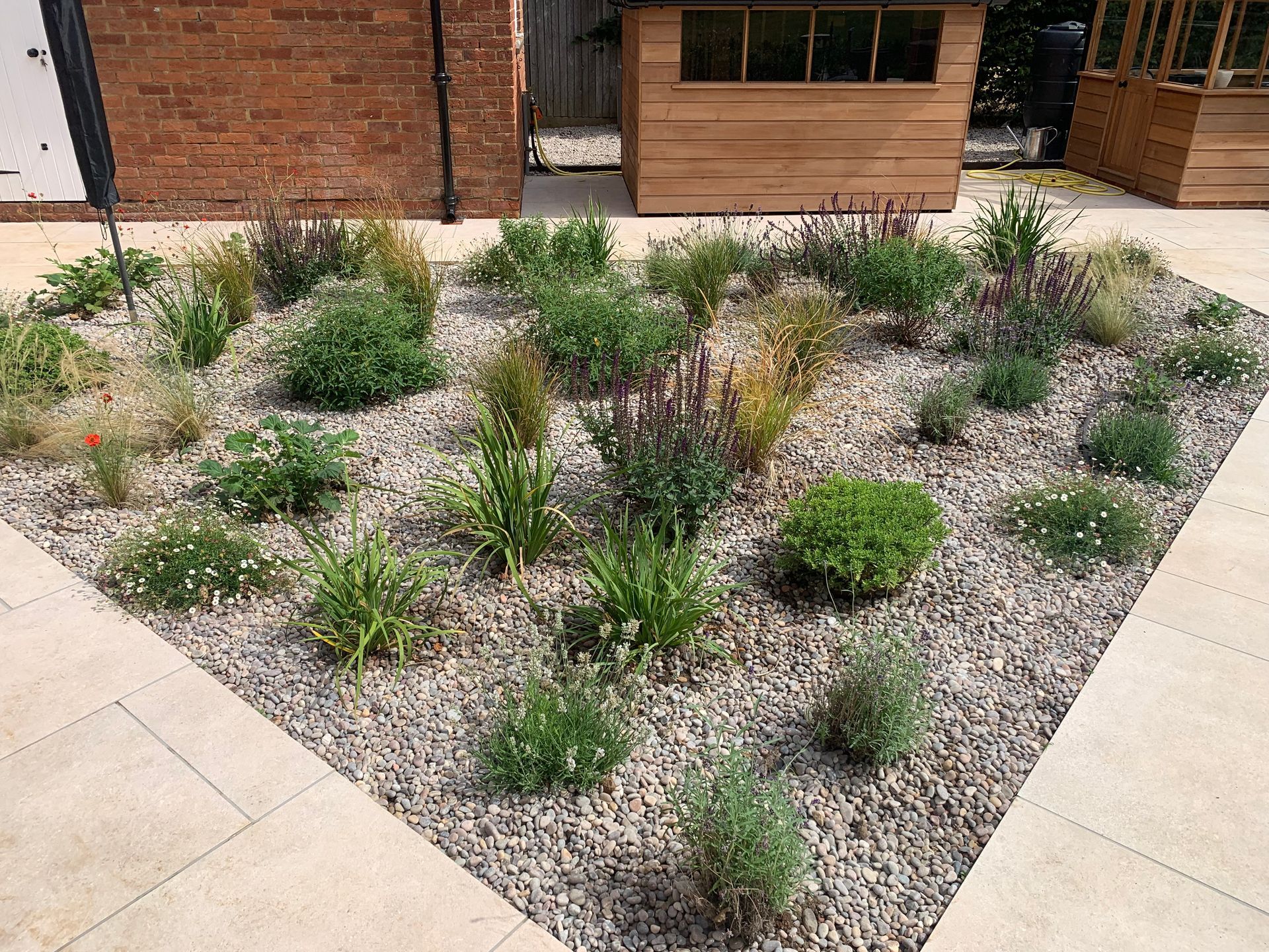 Drought tolerant planting design garden design West Sussex