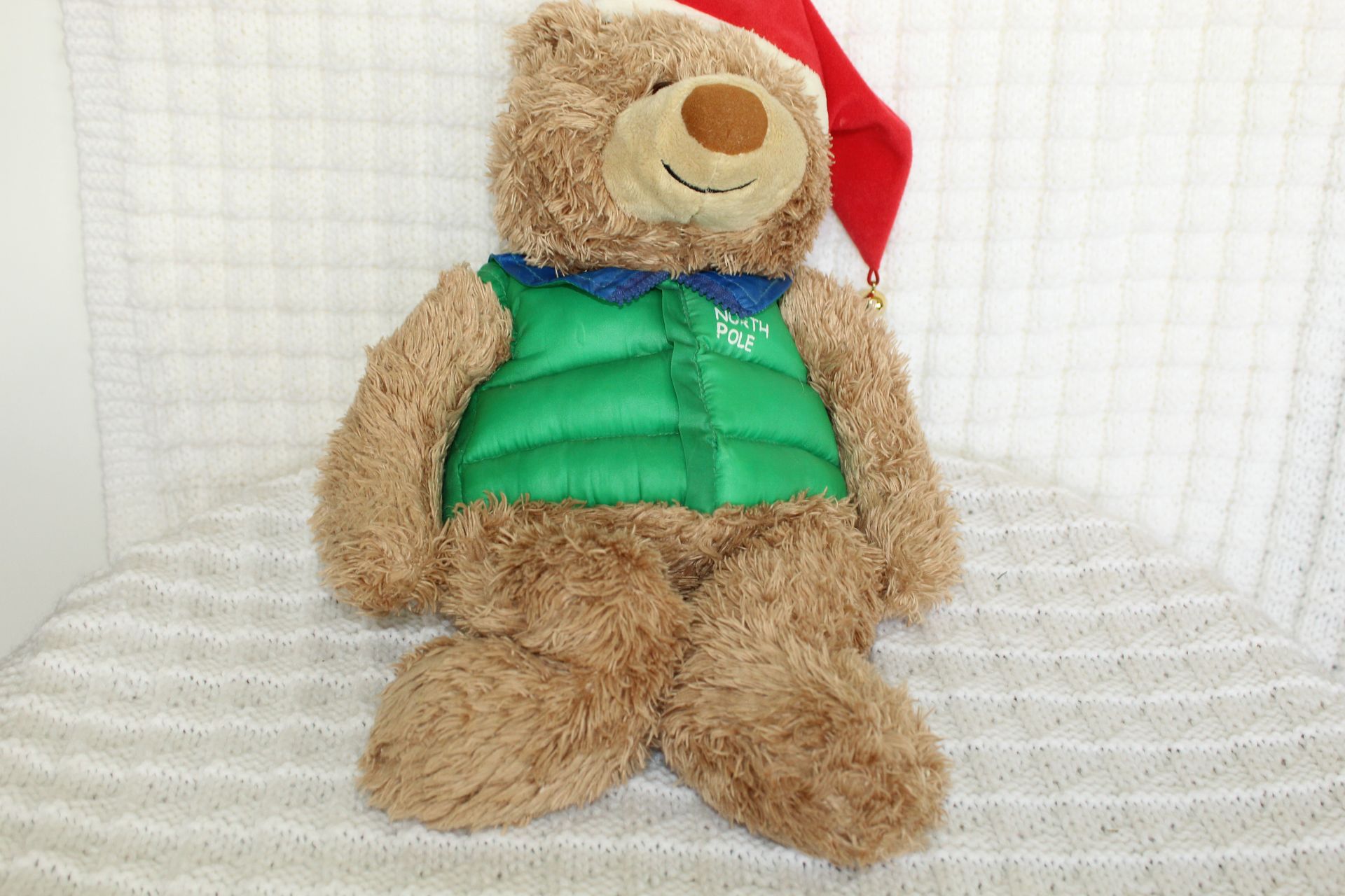 Teddy bear in a green vest and red Santa hat, sitting against a white textured background.