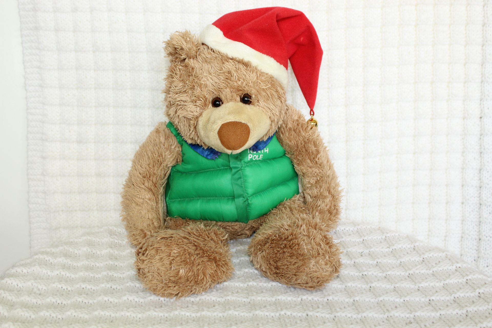Teddy bear in a green vest and red Santa hat, sitting against a white textured background.