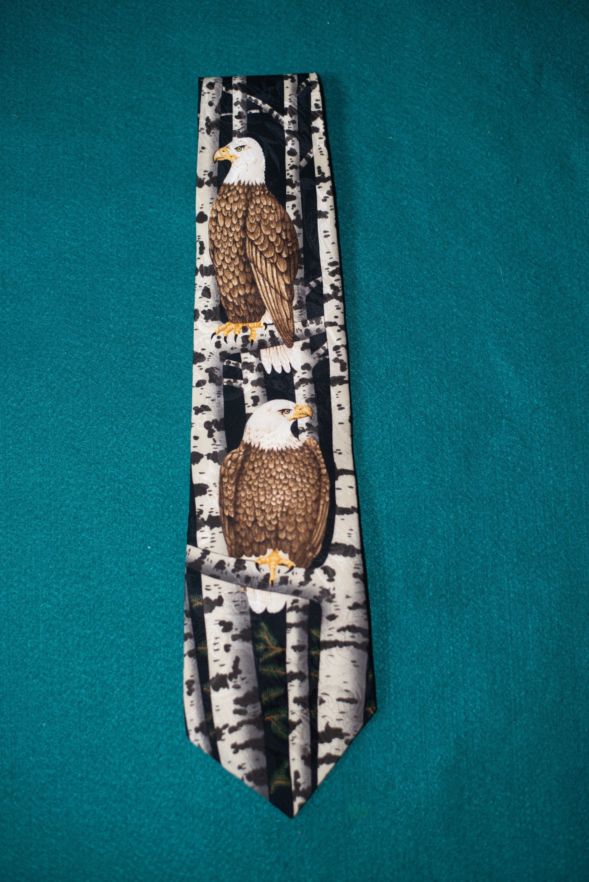 Narrow patterned necktie with two owls on a birch tree design against teal fabric