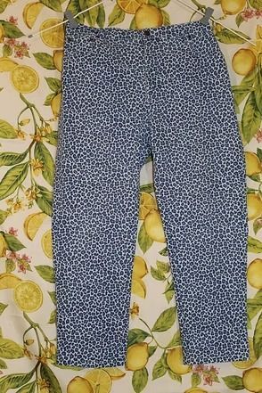 Blue patterned pants on a floral background.
